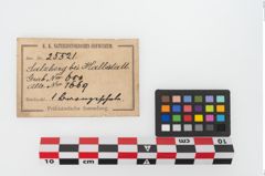 Etikett zu Bronzebreitrandfußschale (NHMW-PRAE-025521)